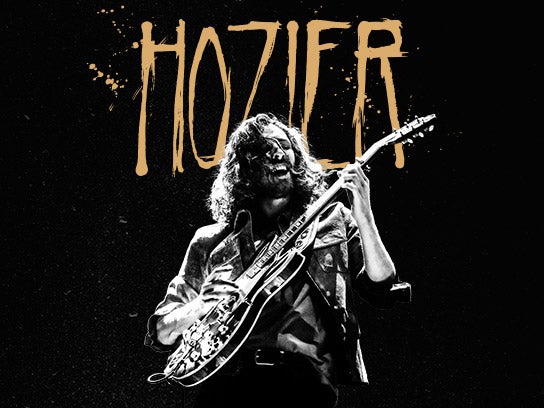 More Info for Hozier